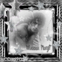 Silver/Gray Series #3 - Star Studded Frame