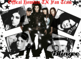 offical houston texas fan team