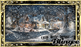 cozy little house in the winter