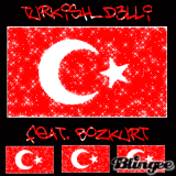 Turkish_D3Lii feat.Bozkurt
