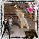 le chat qui chante