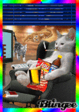 Le Chat se Détent ...