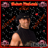 HBK-SHAWN MICHAELS