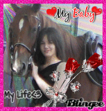 so cheval