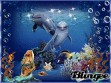 aquatic life