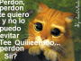 perdon