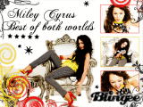 Celebrities; Who do you love?
