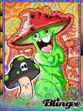 Crazy MushROOM