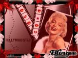 ♦ Hollywood Star ♦