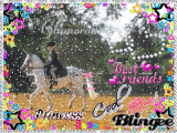 best show pony