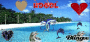 Dolphins 2.
