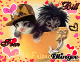 Bill and Tom Kittens!