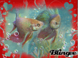 Beta Bubbles