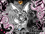 lapin