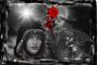 A Rose for my Gothic Lady 
