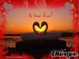 is true love!
