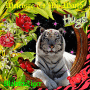 WELCOME TO MY WORLD. MALUKUTIGER