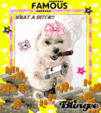 Gangsta Dog