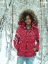 winter wonderland
