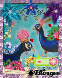 Peacocks & cupcakes 