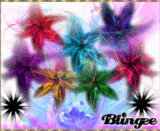colors
