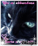 Gatto nero.. Ki mi abbandona porta sfortuna!!!!!!!!!!!!!!!!!!!!!!!!!!!!!!!