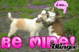 love has no boundries