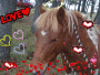 love-équitation