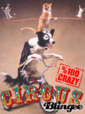 circus 