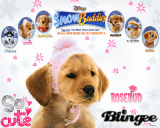 Snow Buddies : RoseBud!