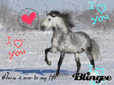 ponyteen