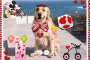 Happy Valentine !!