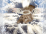 angel dog