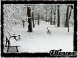 Promenade dans la neige