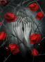 red rose