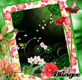 Frame-Flowers