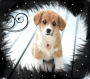 Cute Puppy Love