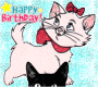 gatito miron