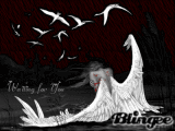 Broken Angel