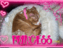 Princess Queenie