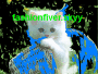 My cat 