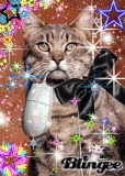 my Cat & my Mouse ;o)