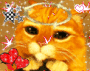 gato de shrek
