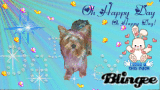 Oh Happy Day Daisy