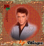 Elvis Bronze and Gold Frame