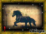 Friese