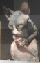 UGH!KITTY UGH!KITTY