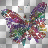 butterfly