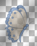 butterlfy