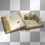 Vintage Book with Old Rose